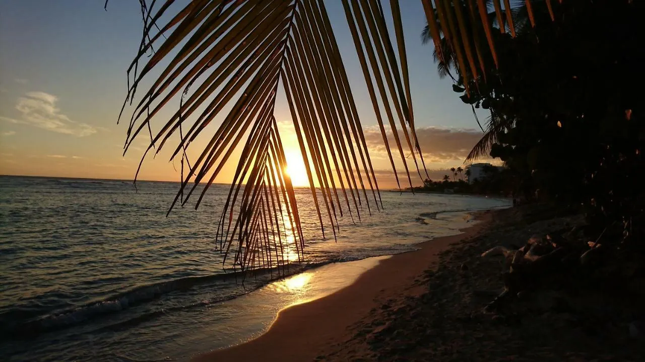 Colonia Tropical Juan Dolio Daire